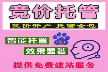 小红书信息流广告策略：成功案例解析